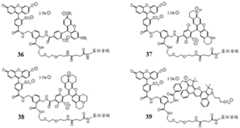 Figure BDA0004123169670000772