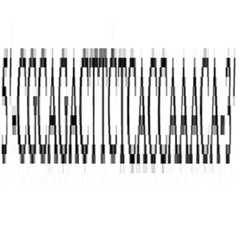 Figure 112016075275816-pat00020