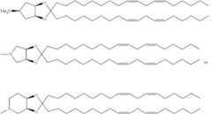 Figure US09220683-20151229-C00340