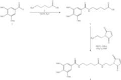 Figure US06706892-20040316-C00097