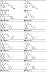 Figure RE-GDA0003303574510000311