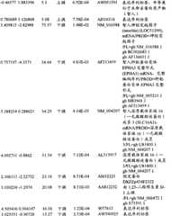 Figure BPA00001280678302081