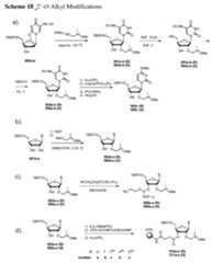 Figure imgf000186_0001