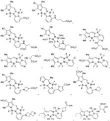 Figure 2024516191000069