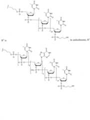 Figure imgf000157_0001