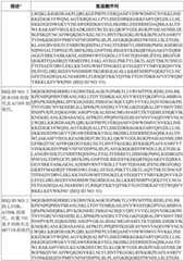 Figure BDA0003627552160000881