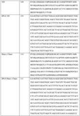 Figure imgf000092_0001