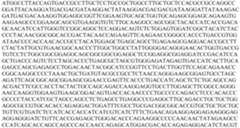 Figure PCTCN2022073808-appb-000146