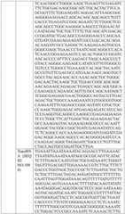 Figure BDA0004033970230005541