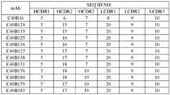 Figure imgf000013_0002