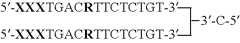 Figure US07851453-20101214-C00016