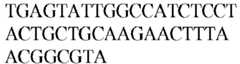 Figure imgb0484