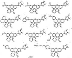 Figure imgf000039_0001