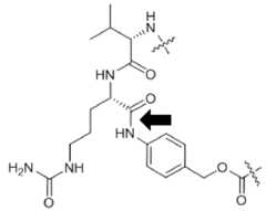 Figure imgf000028_0001