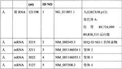 Figure BPA0000293692940000181