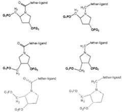 Figure imgf000043_0001