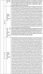 Figure BDA0004033970230007261