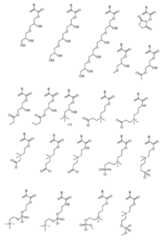 Figure 0007410065000058