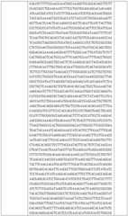 Figure BDA0002508391090001341