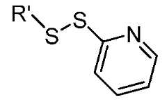 Figure imgf000039_0001