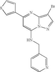 Figure US07119200-20061010-C01592