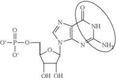 Figure US08754062-20140617-C00094