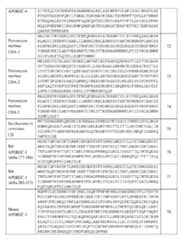 Figure imgf000181_0001