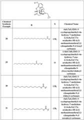 Figure imgf000026_0001