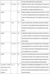 Figure BDA0004113681710000421