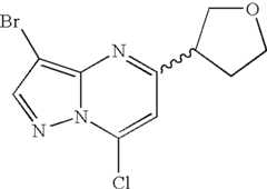 Figure US07119200-20061010-C01172
