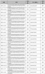 Figure BDA0002379404260001111