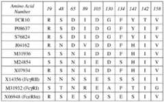 Figure imgf000018_0001