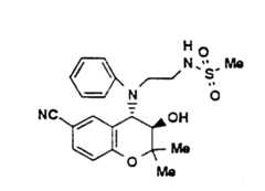 Figure 941168549_IMG51