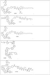 Figure imgf000049_0001