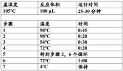 Figure BDA0002955641090000801