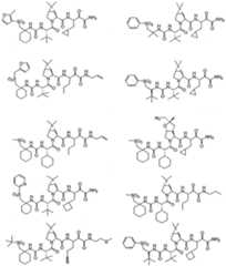 Figure imgf000312_0001