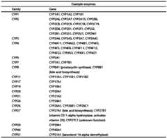 Figure PCTCN2022090268-appb-000112