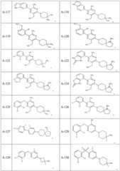 Figure BDA0003731387960001061