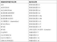 Figure BDA0004130227590000071