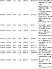 Figure BPA00001280678302811