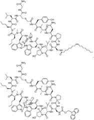 Figure imgf000051_0001