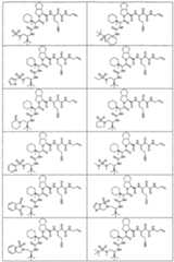 Figure imgf000347_0001