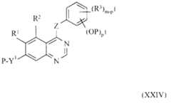 Figure imgf000032_0002