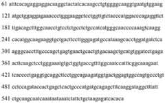 Figure BDA0002465283840000461