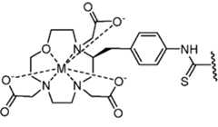 Figure 2024156841000228