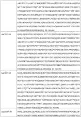 Figure GDA0002332994560000371