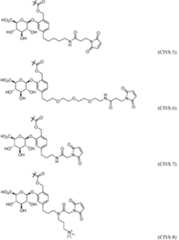 Figure imgf000213_0001