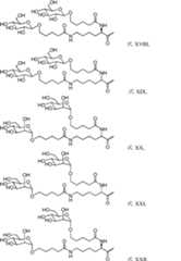 Figure 0007028764000040