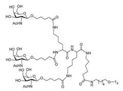 Figure 2023012548000164