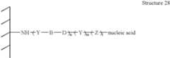 Figure US07014992-20060321-C00038